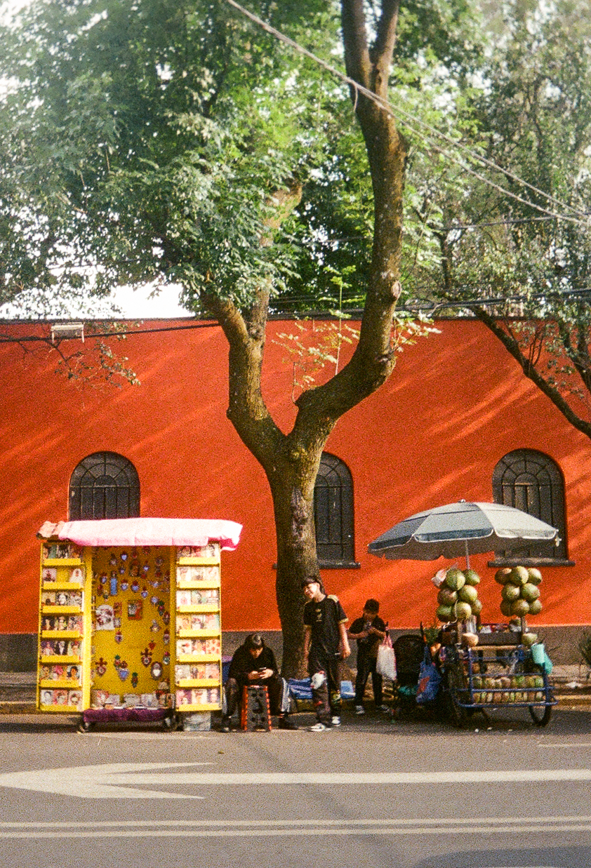 Coyoacán film photo